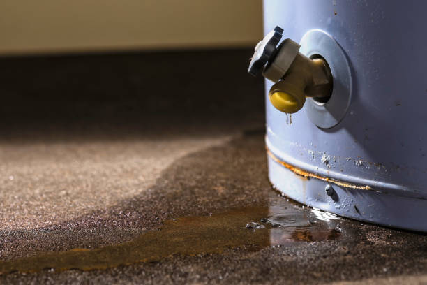 Best 24-hour water damage restoration  in Boscobel, WI