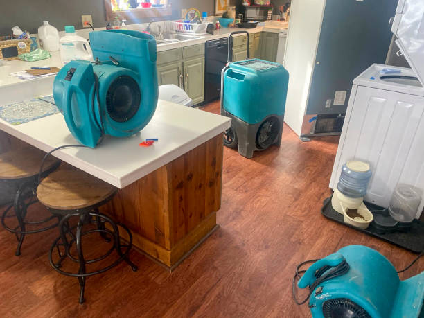 Best Basement water damage restoration  in Boscobel, WI