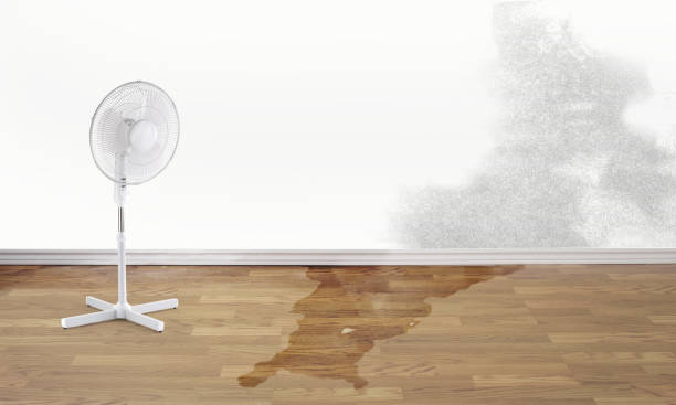 Sewage cleanup and water damage restoration in Boscobel, WI