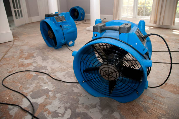 Best Flood damage cleanup  in Boscobel, WI