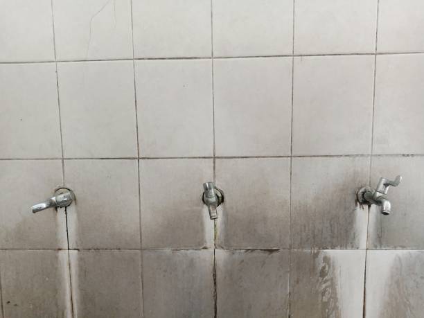Best Water damage cleanup near me  in Boscobel, WI