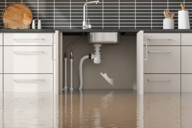 Best Mold removal after water damage  in Boscobel, WI