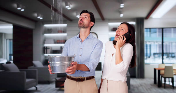 Best Ceiling water damage repair  in Boscobel, WI