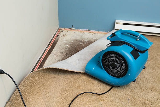 Best Professional water damage repair  in Boscobel, WI